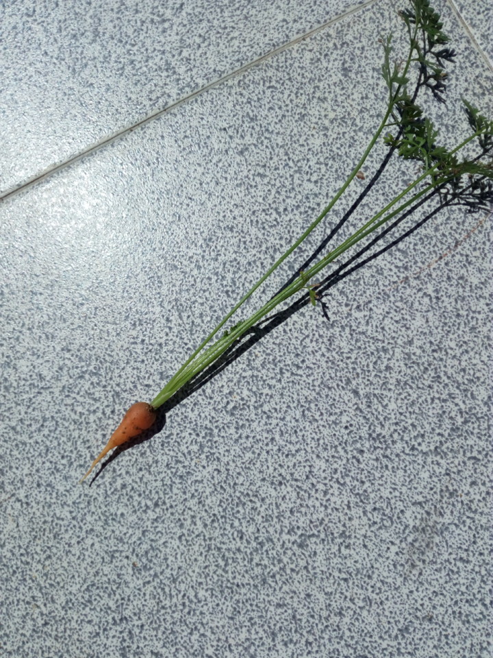 IMG_20180812_121420.jpg IMG_20180812_121420.jpg