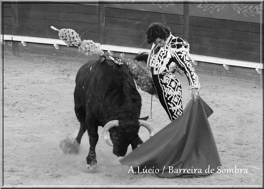 IMG_6716.JPG IMG_6716.JPG