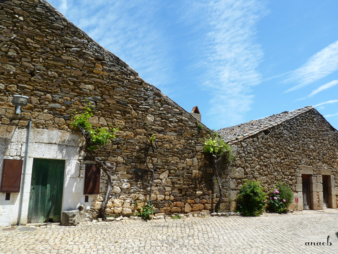 Idanha-a-Velha (157) casas.jpg