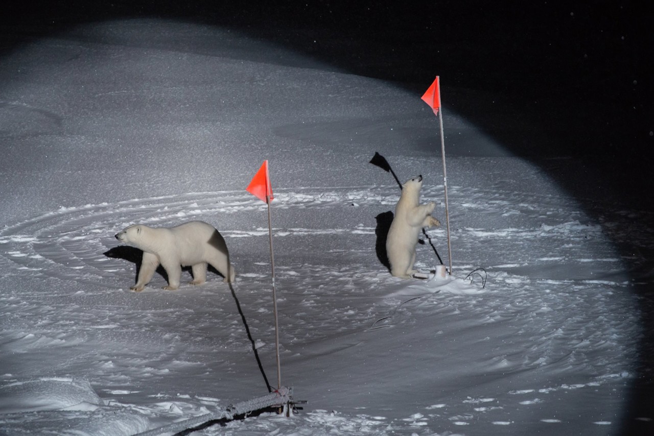 WPP-2020PhotoContest-EN-EstherHorvath.jpg WPP-2020PhotoContest-EN-EstherHorvath.jpg