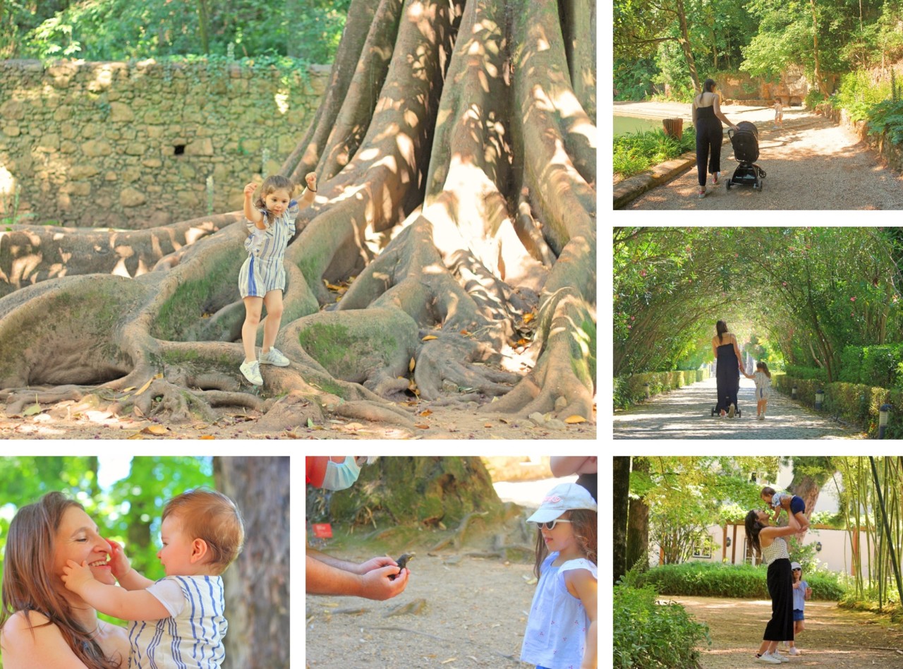 Arcadas Quinta das Lágrimas