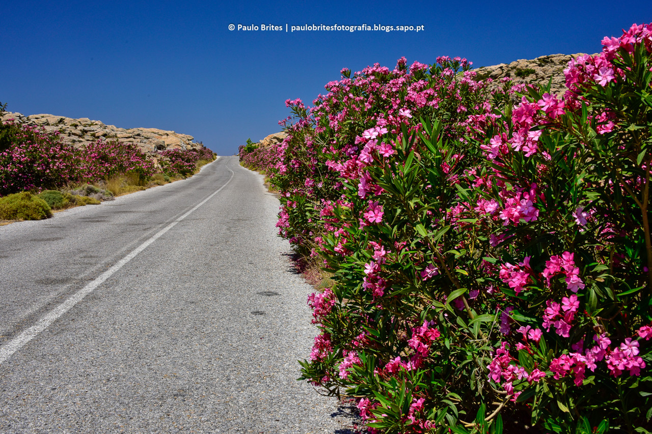 DSC_11365-1.jpg DSC_11365-1.jpg