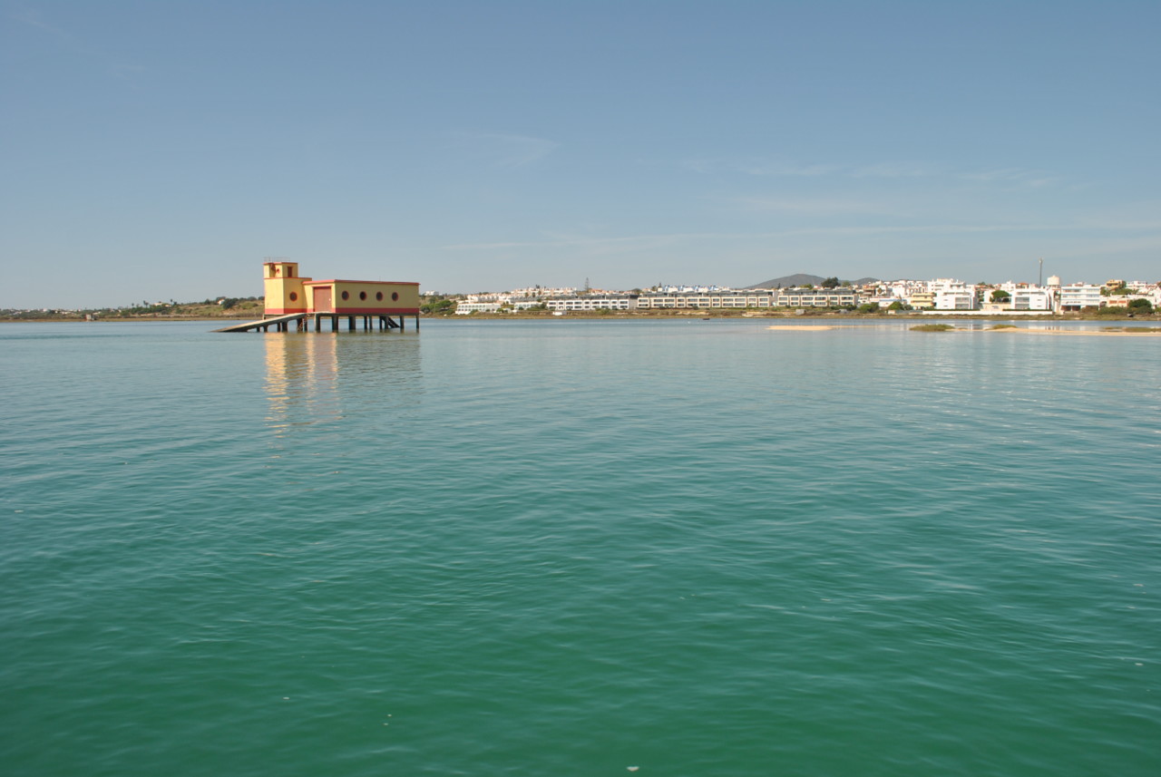 Branca Noiva do Mar 08.JPG