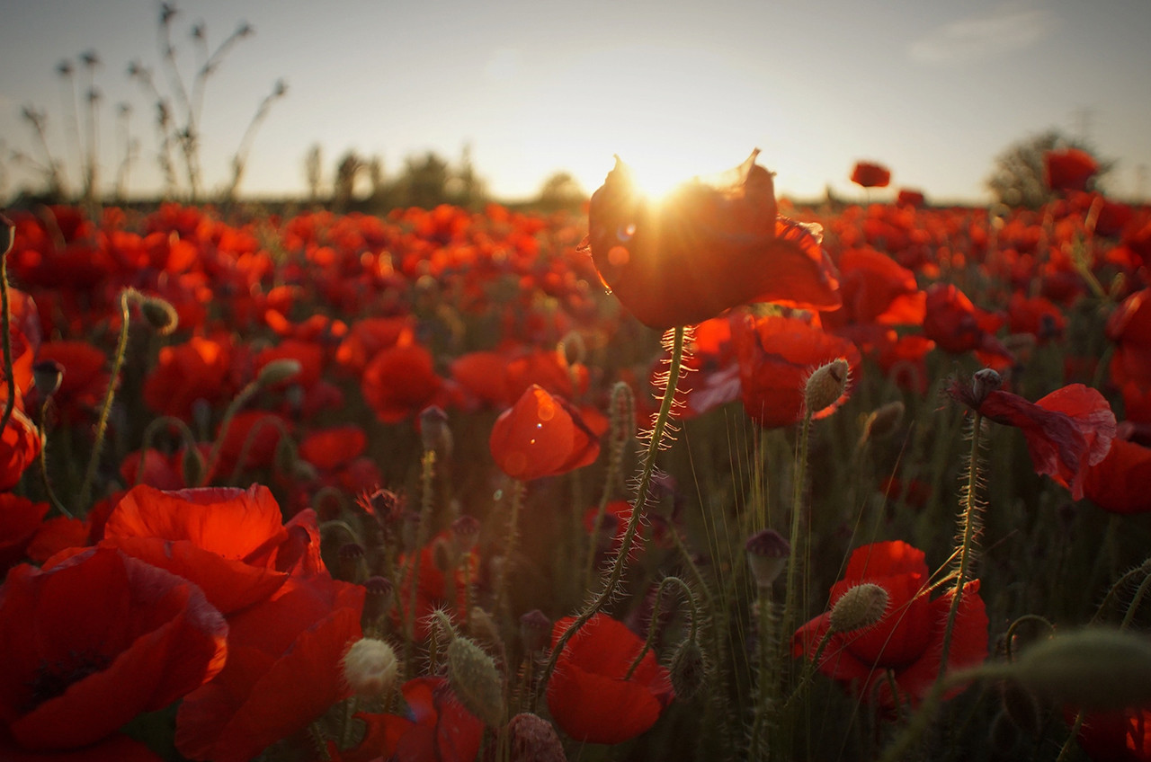 cada dia traz em si a eternidade