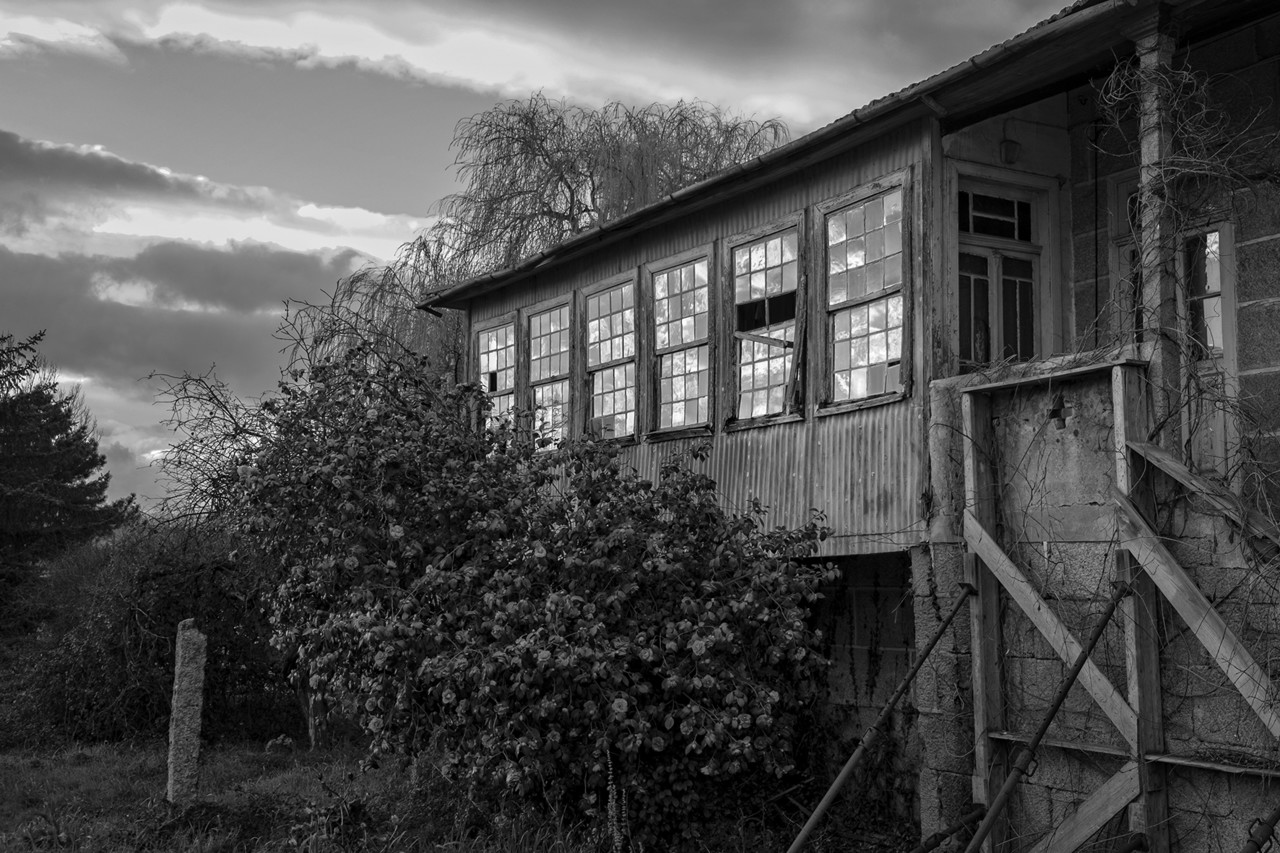 Rebentão - Família - Março 2016 071 - cópi Rebentão - Família - Março 2016 071 - cópi