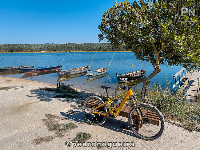 Jul_2025_029 650px.jpg