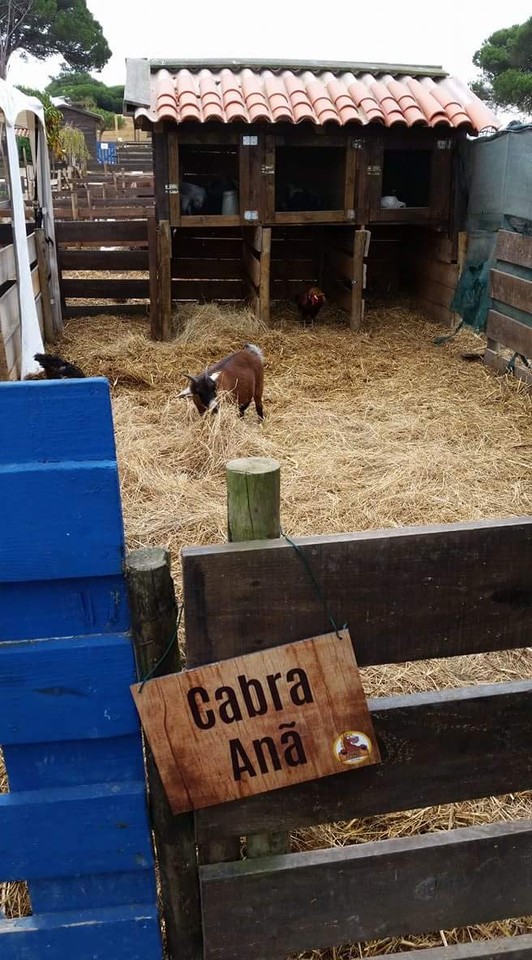 received_10202171510326381.jpeg received_10202171510326381.jpeg