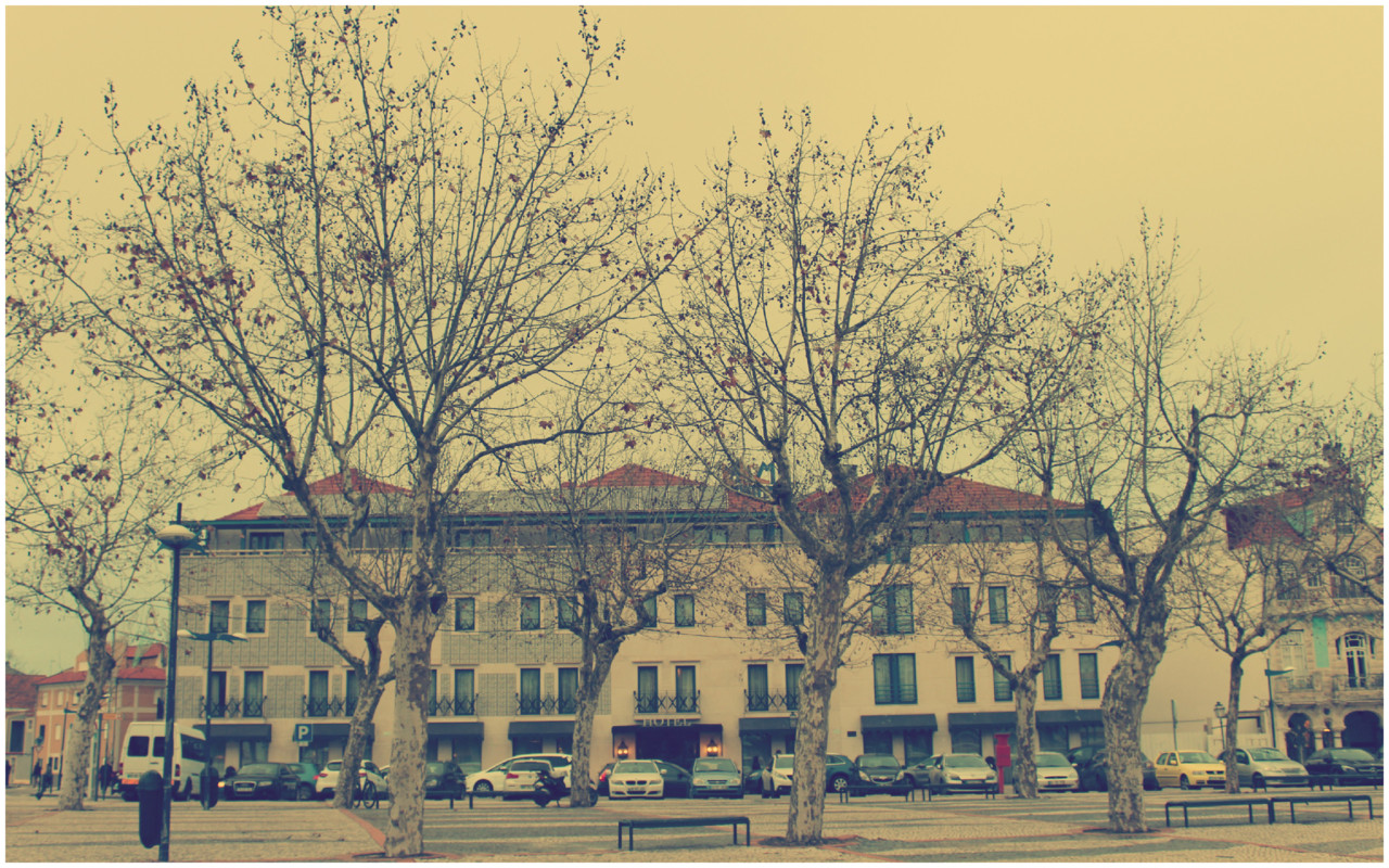 Sal Poente & Moliceiro