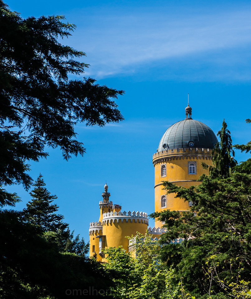 DSC03274.jpg DSC03274.jpg