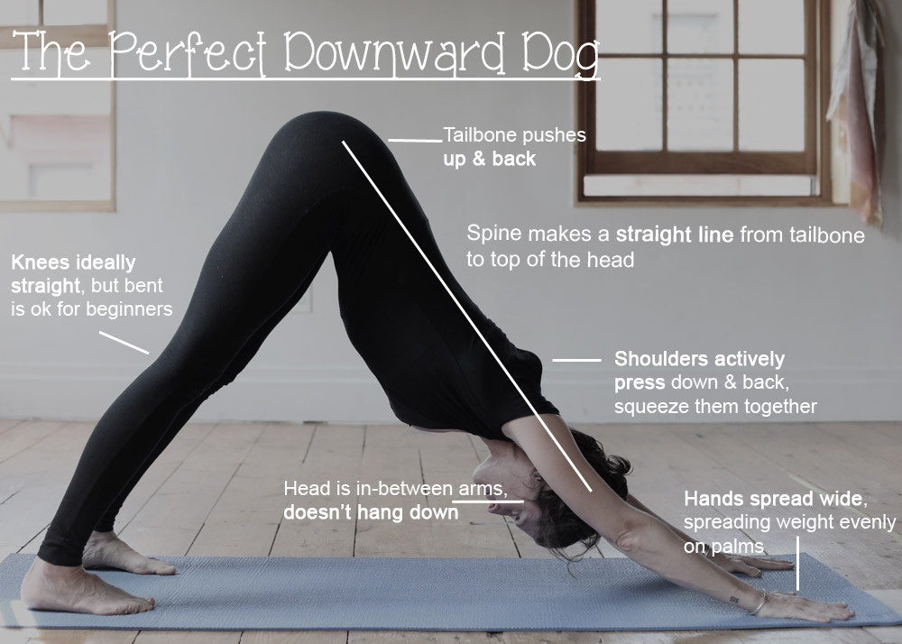 downward-dog-technique1.jpg