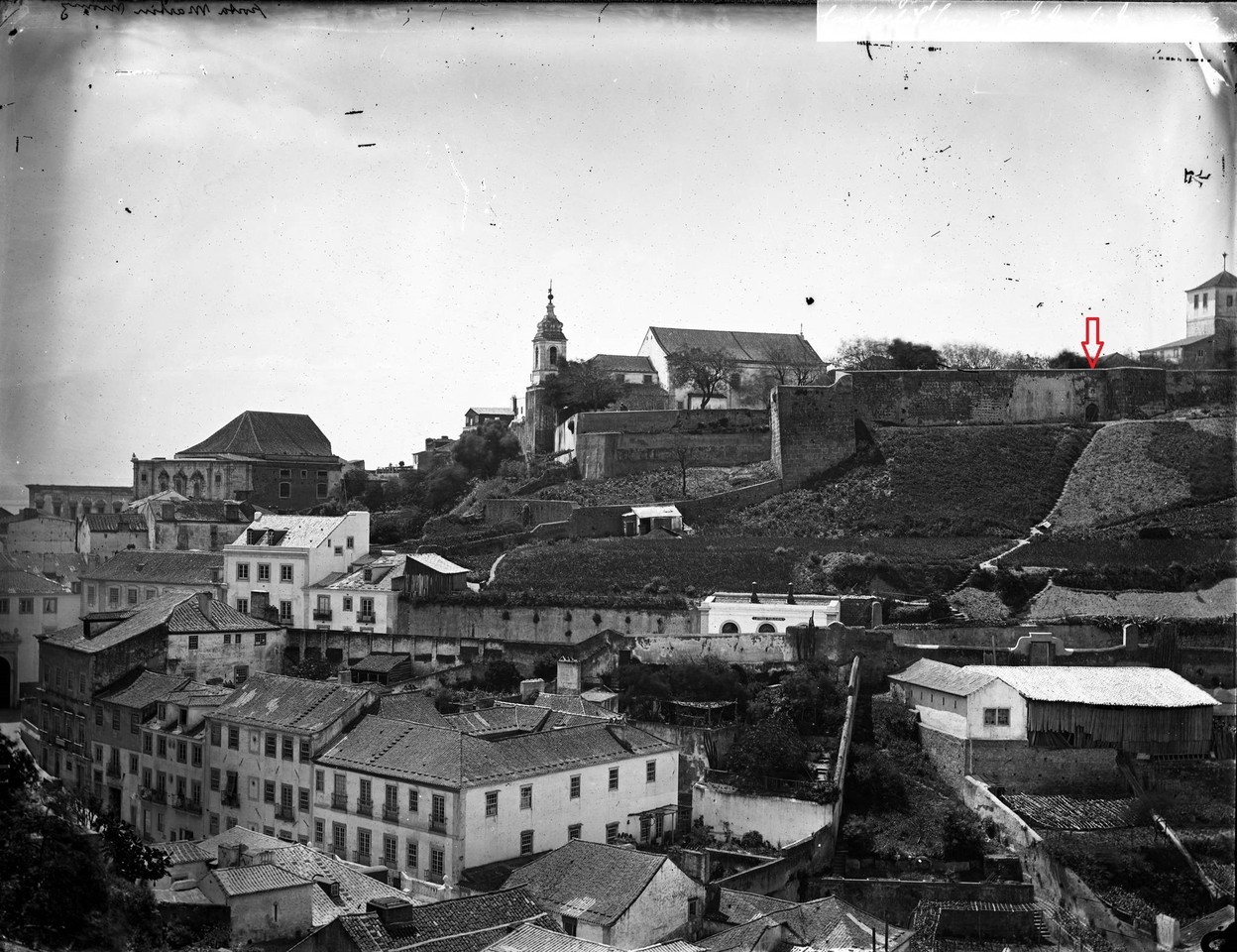 Panorâmica sobre a encosta do Castelo, com a Port