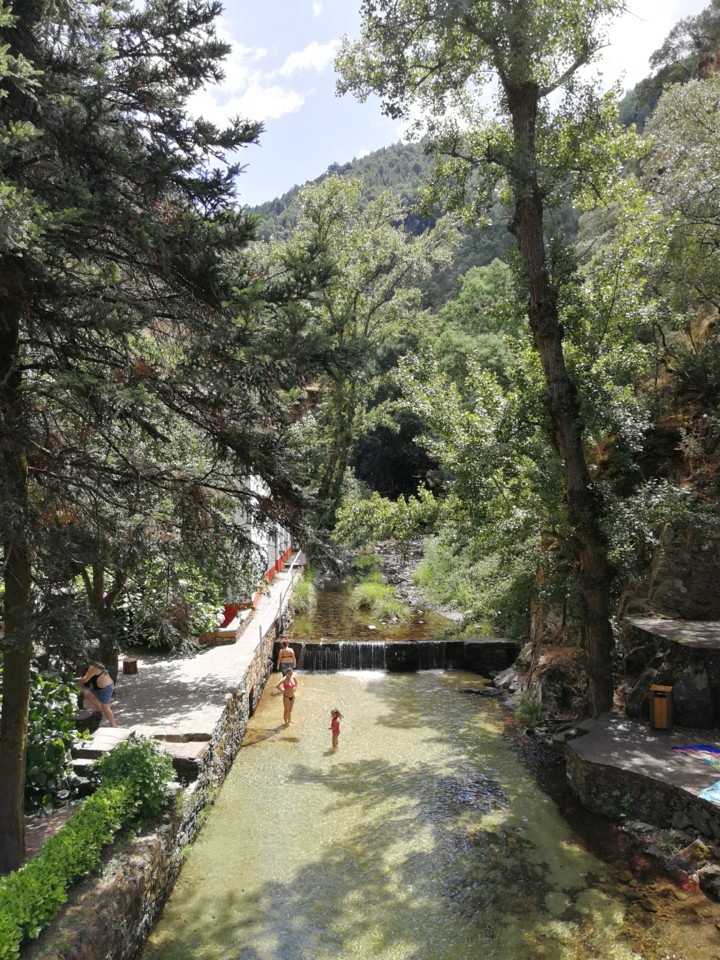 IMG_20180809_133903.jpg IMG_20180809_133903.jpg