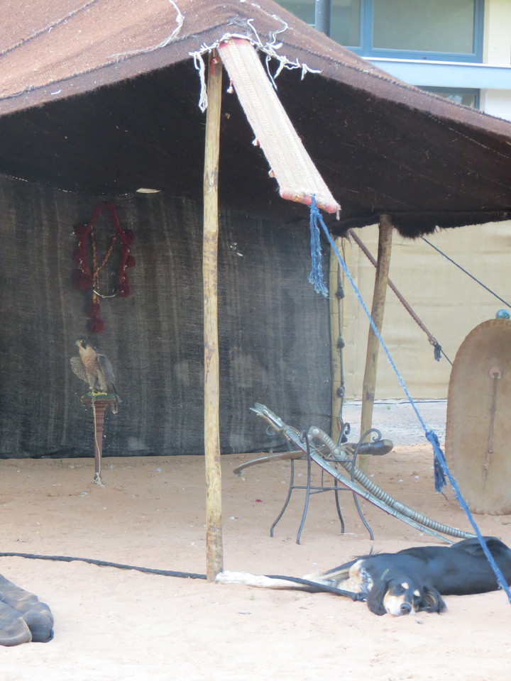 IMG_3467 - Cópia.JPG