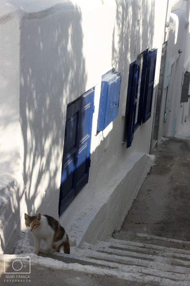 IMG_5813_net.jpg IMG_5813_net.jpg