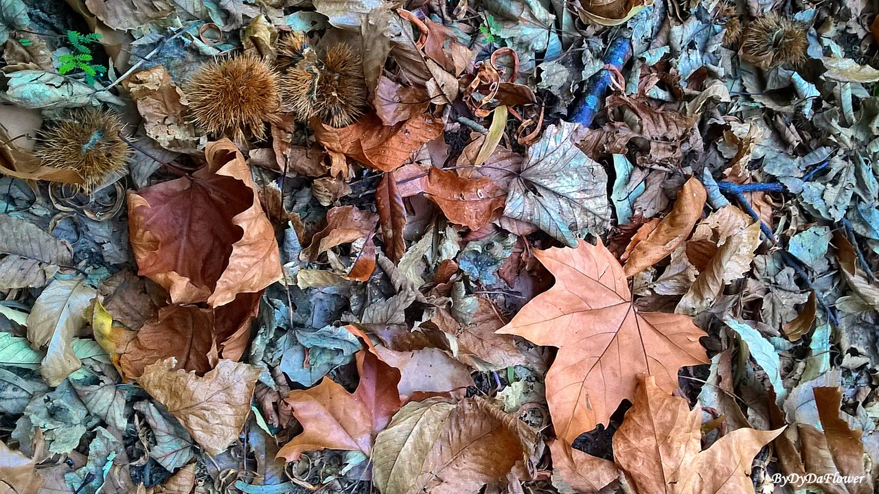 paisagem morta.jpg paisagem morta.jpg