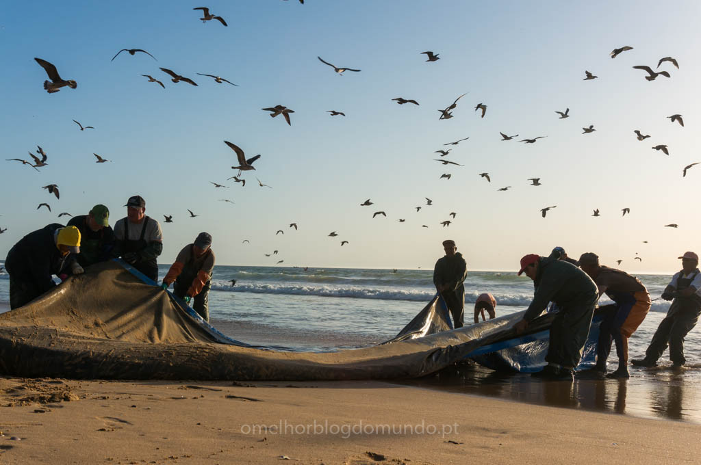 DSC02282.jpg DSC02282.jpg