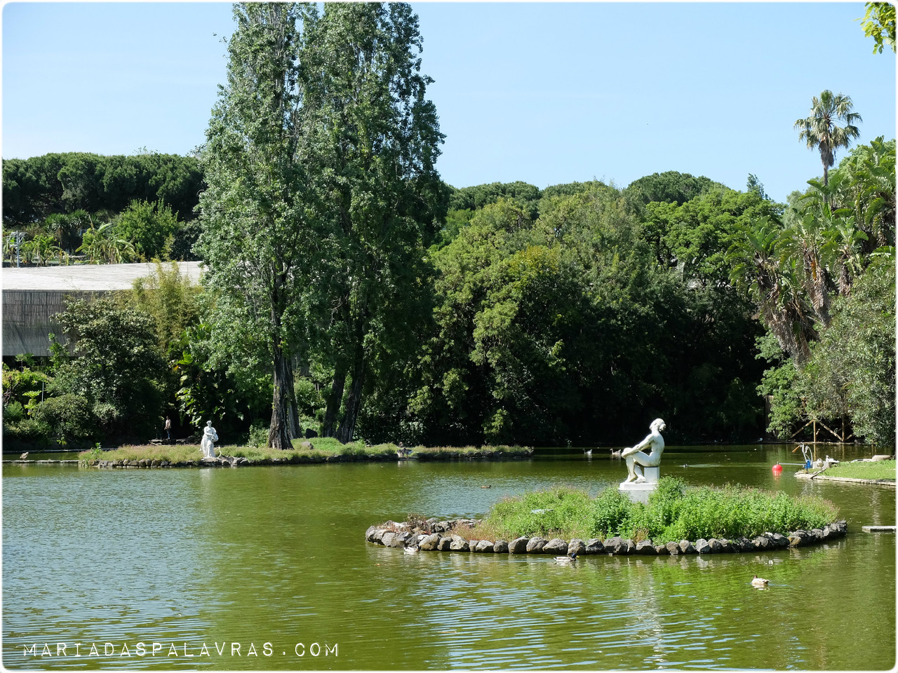 estufafria4.jpg estufafria4.jpg