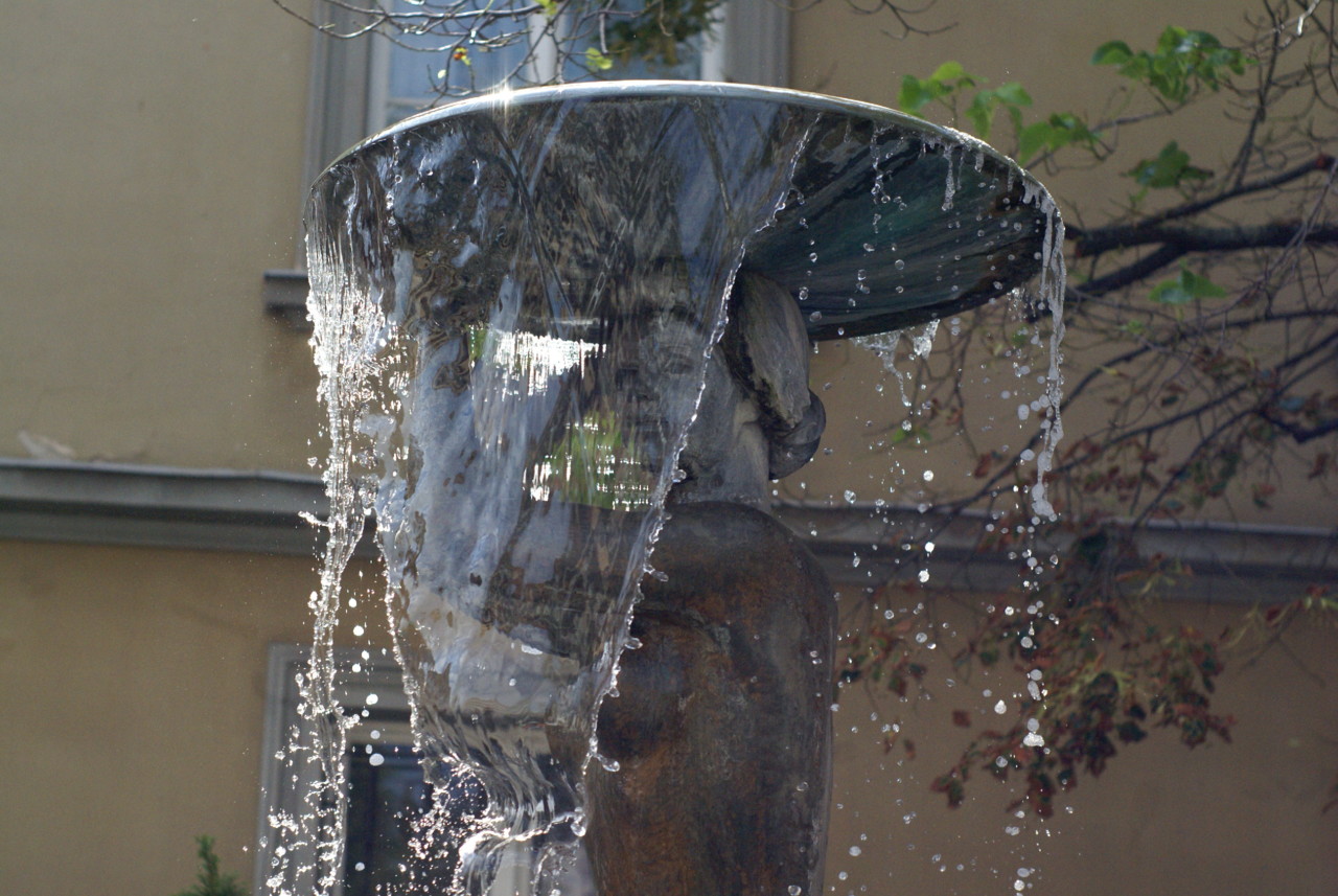 DSC00140.JPG DSC00140.JPG