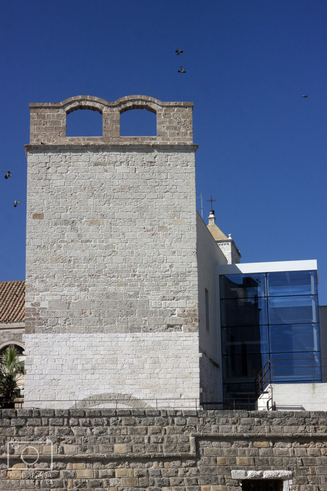 IMG_5732_net_redimensionada.jpg IMG_5732_net_redimensionada.jpg