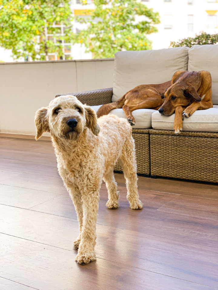 IMG_4736.JPG IMG_4736.JPG