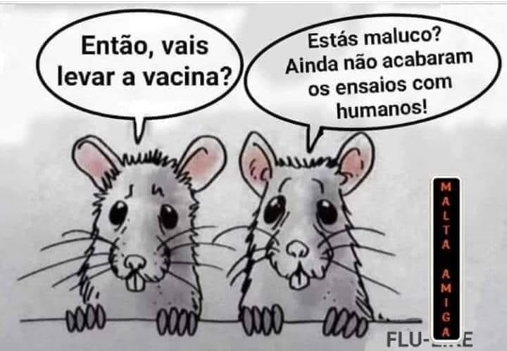 198860680_10219892073876556_5455847680668652380_n.