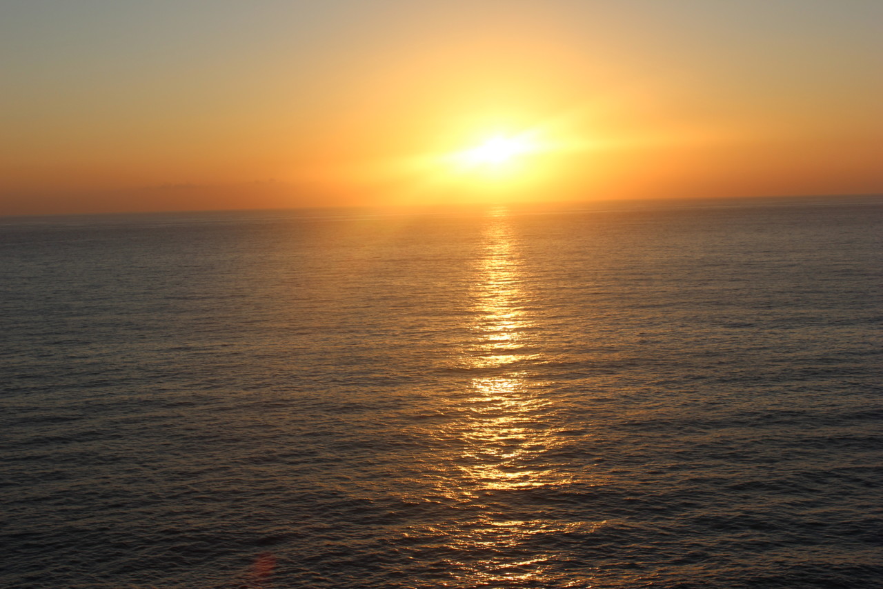 IMG_0176.JPG IMG_0176.JPG