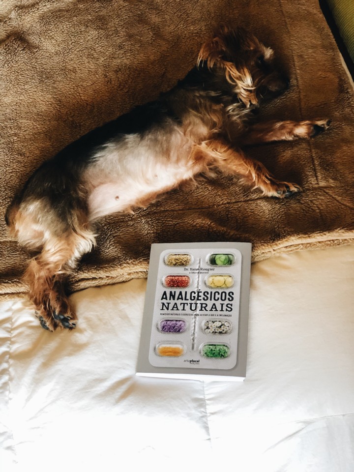 EFE366BC-B2CF-43C3-95FC-1082E6E59F54.JPG EFE366BC-B2CF-43C3-95FC-1082E6E59F54.JPG