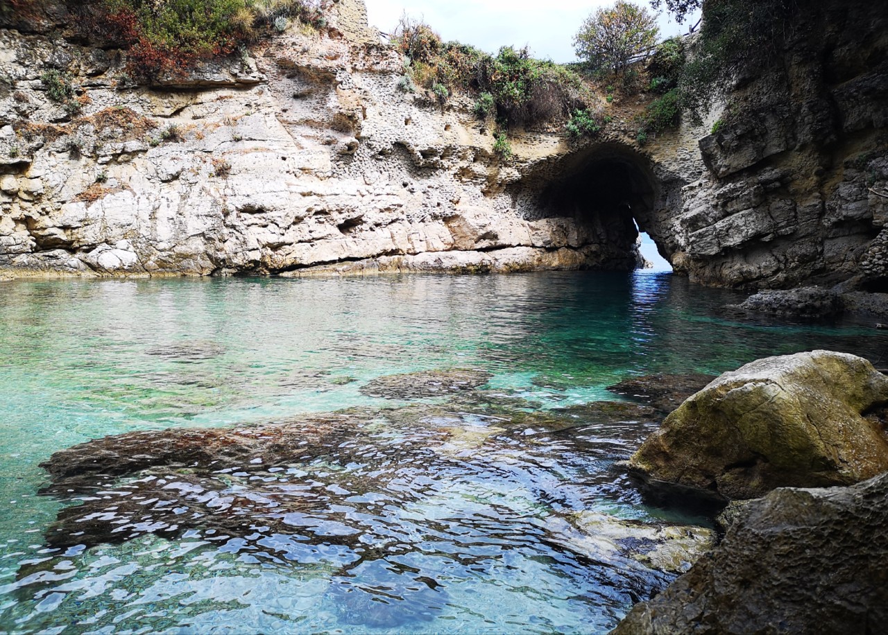 IMG_20190508_071107.jpg IMG_20190508_071107.jpg