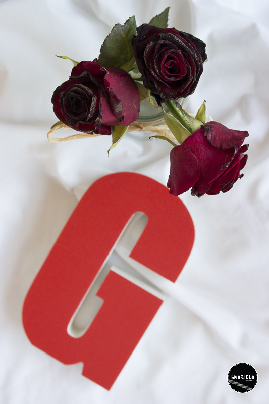 Angelicam-001896.jpg Angelicam-001896.jpg