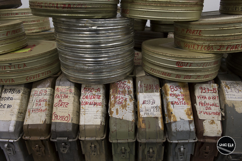 ANIM-6454.jpg ANIM-6454.jpg