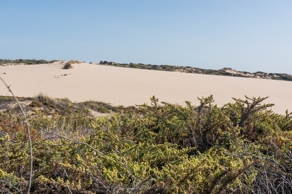 DSC00684.jpg DSC00684.jpg