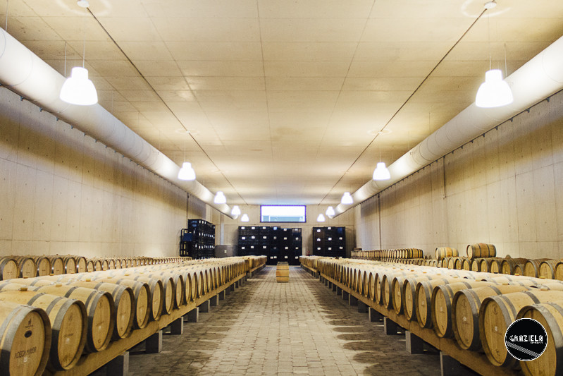 Campo_Maior_Originais-001014.jpg Campo_Maior_Originais-001014.jpg