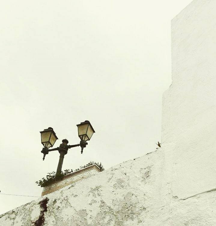 16832017_808927079260606_725282309285975075_n.jpg 16832017_808927079260606_725282309285975075_n.jpg