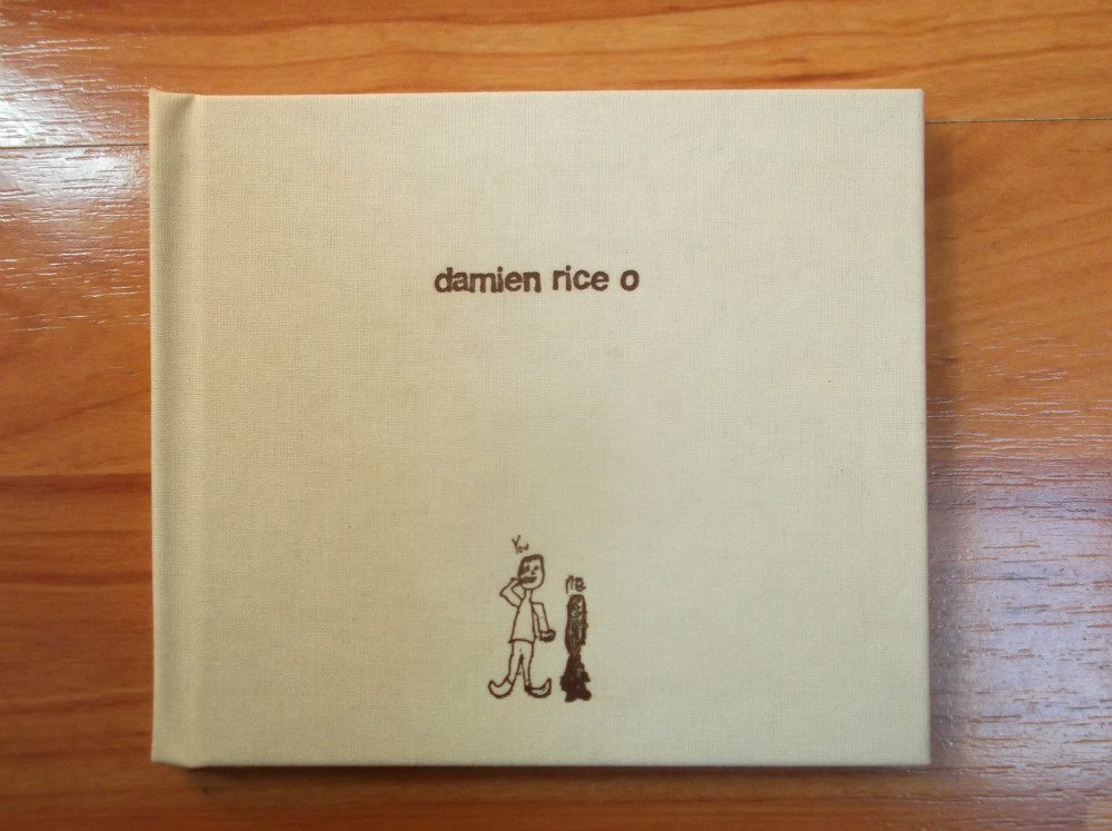 damien rice.jpg