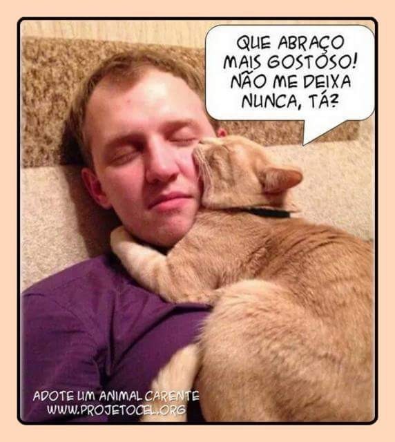 amor felino.JPG