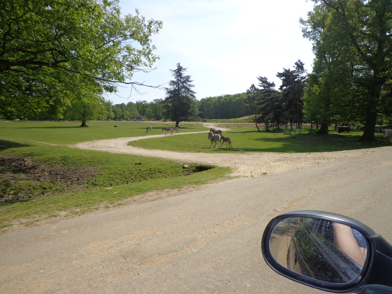 DSC09342.JPG DSC09342.JPG