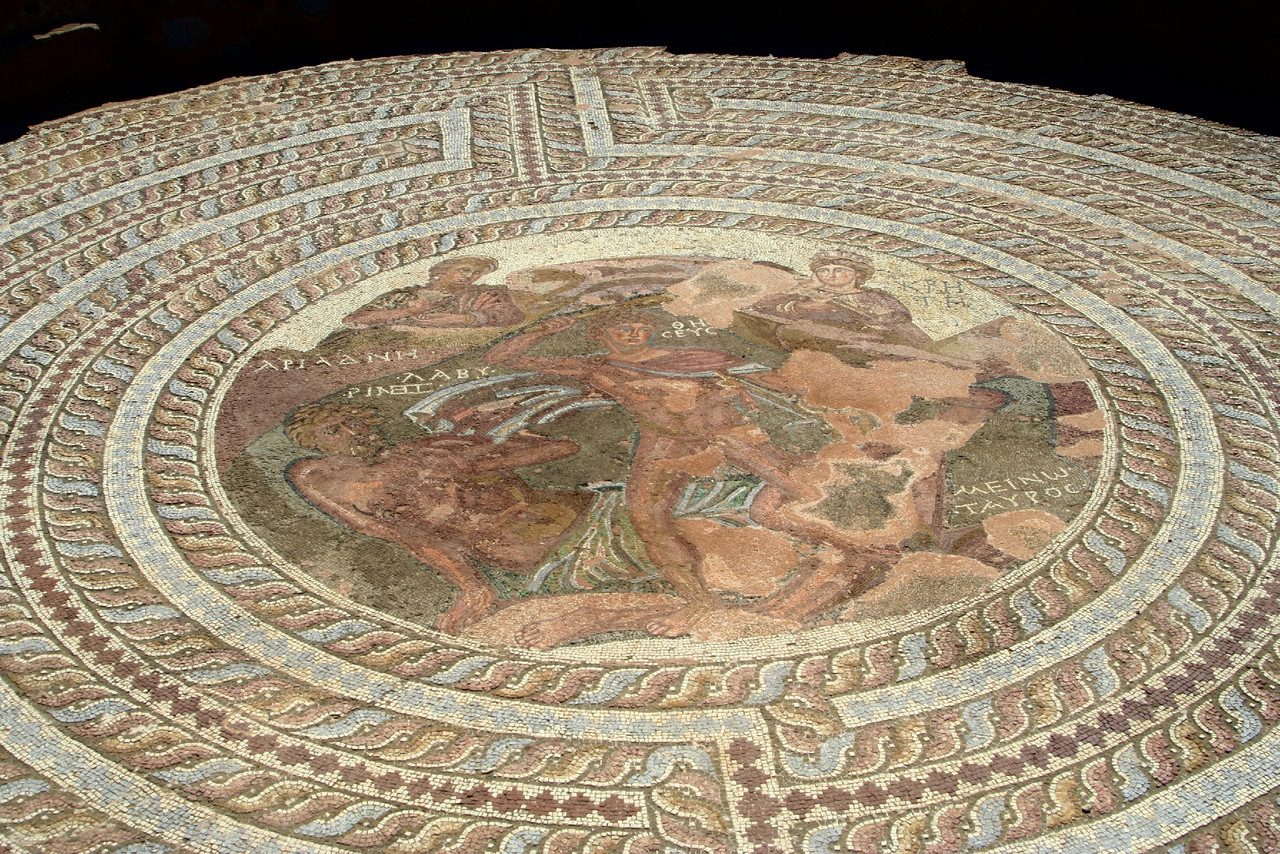 fullsizeoutput_143e.jpeg fullsizeoutput_143e.jpeg