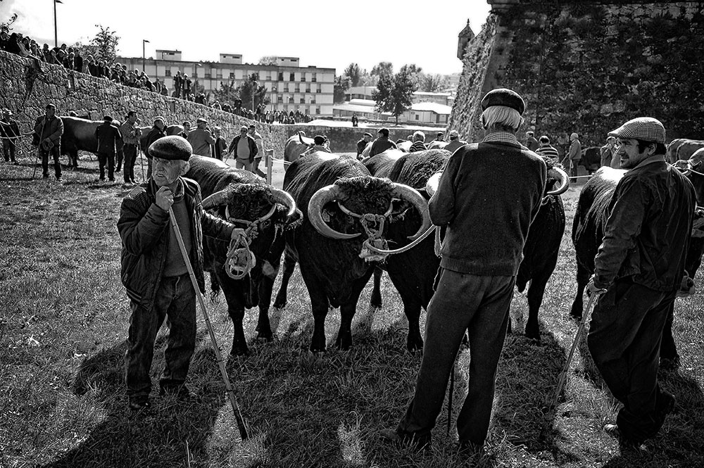 _JMD8486 copy - Cópia.jpg