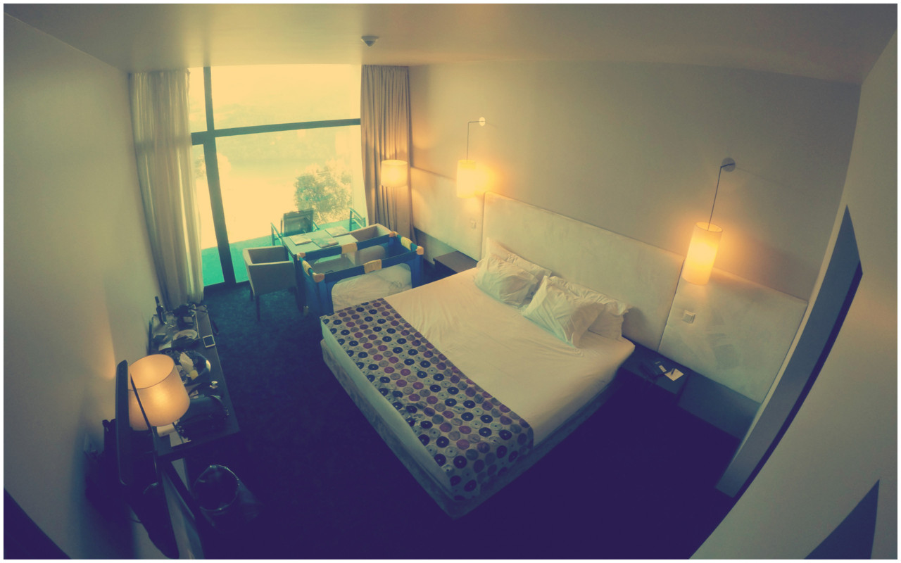 Douro Royal Valley e Douro Palace