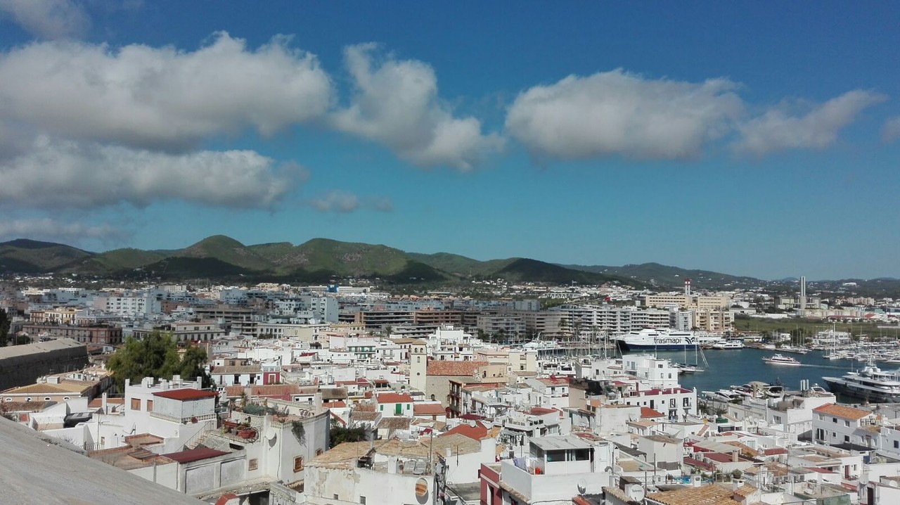 IMG_0235 (1).JPG IMG_0235 (1).JPG