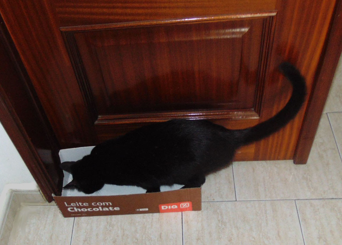 suavez.JPG suavez.JPG