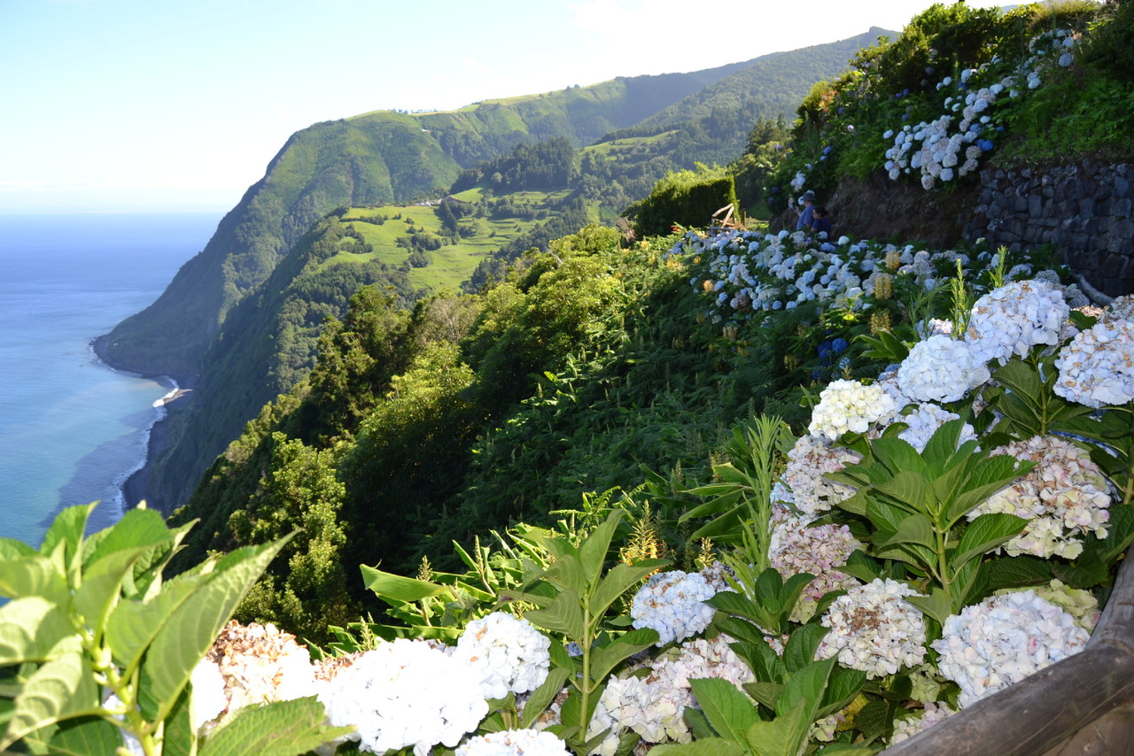 DSC_0056.JPG DSC_0056.JPG