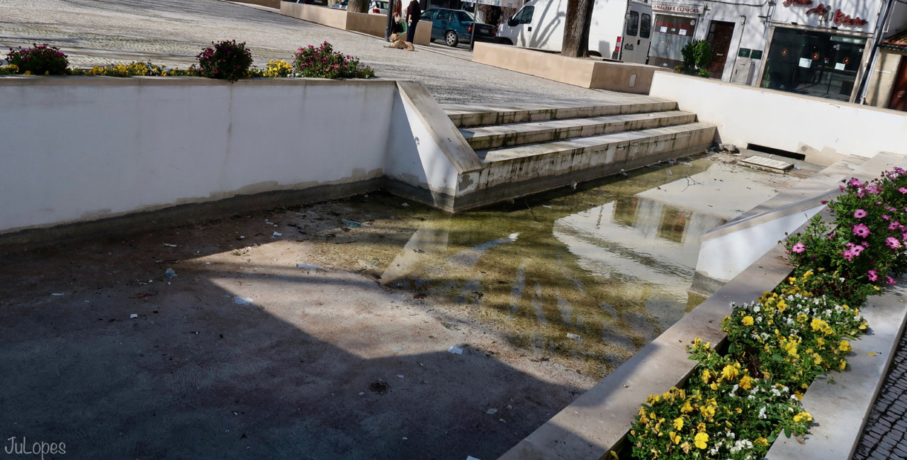 IMG_0668.jpg IMG_0668.jpg