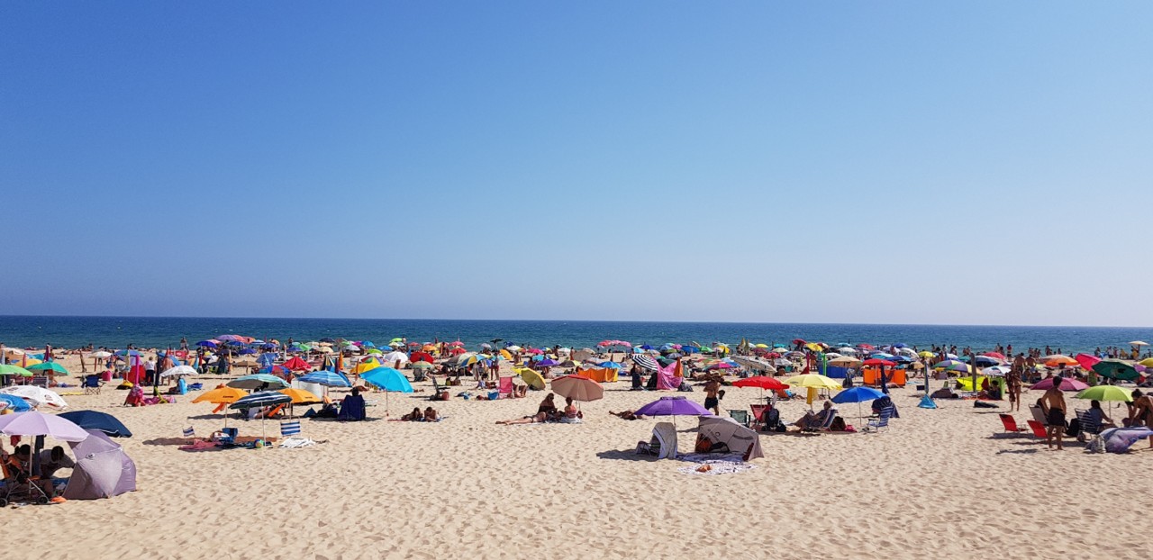 20180817_163947.jpg 20180817_163947.jpg