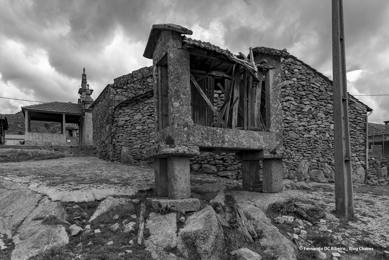 1600-romainho (26).jpg