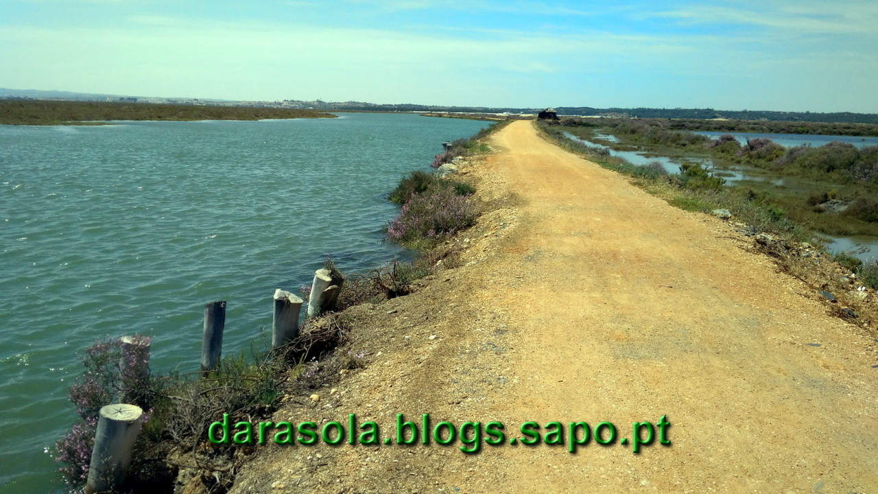 Maresmas_Isla_Canela_16.jpg Maresmas_Isla_Canela_16.jpg