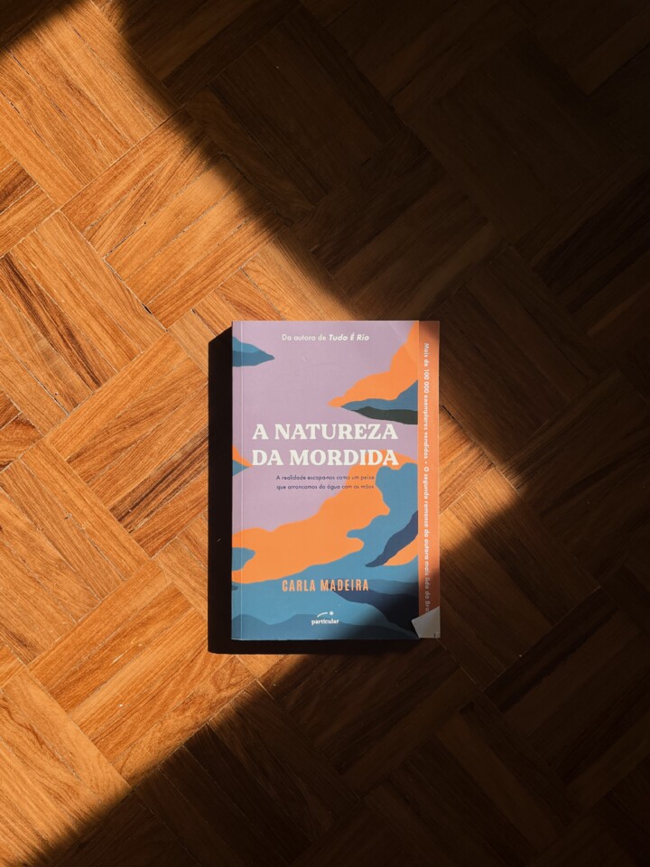 a-natureza-da-mordida-carla-madeira.JPG
