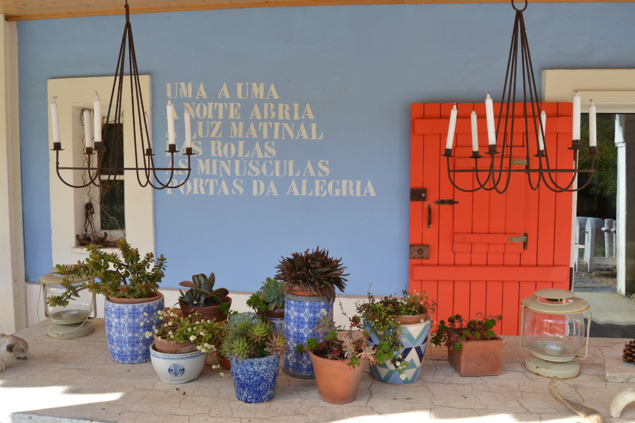 DSC_0900.jpg DSC_0900.jpg