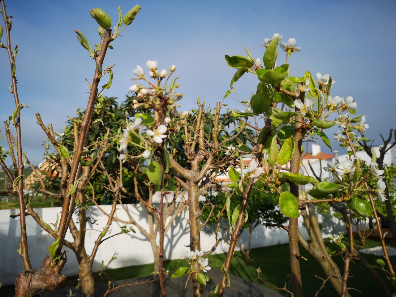 IMG_20190328_080704.jpg IMG_20190328_080704.jpg