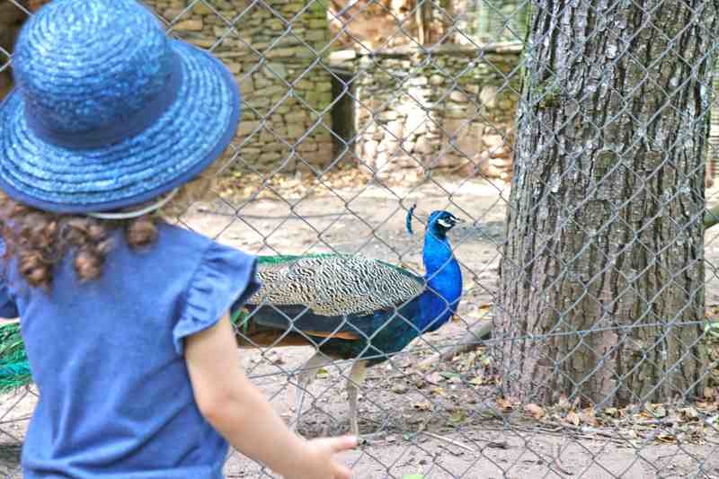 Parque Biológico da Serra da Lousã